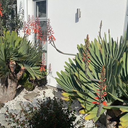 Stunning Park Side Holiday Home Christchurch Esterno foto