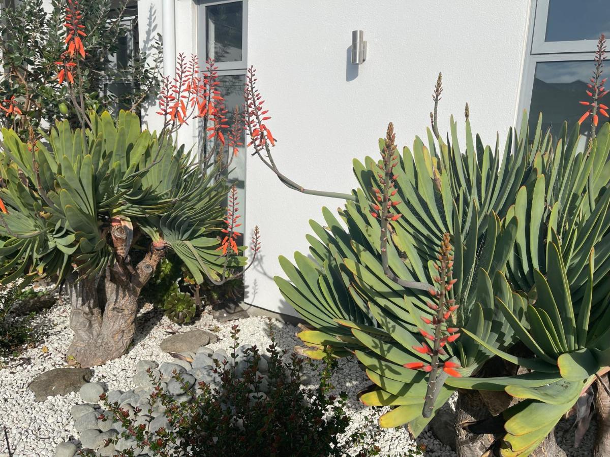 Stunning Park Side Holiday Home Christchurch Esterno foto