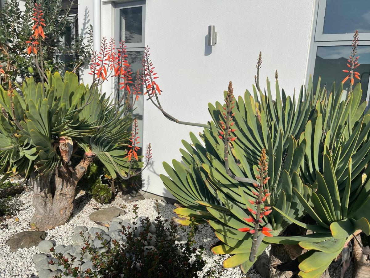 Stunning Park Side Holiday Home Christchurch Esterno foto